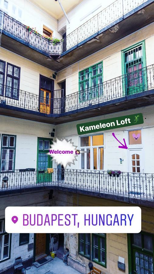 Apartament Kameleon Loft Budapeszt Zewnętrze zdjęcie